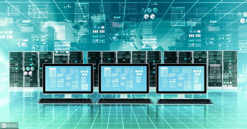 數據、信息與數據處理服務 數字化時代的核心概念